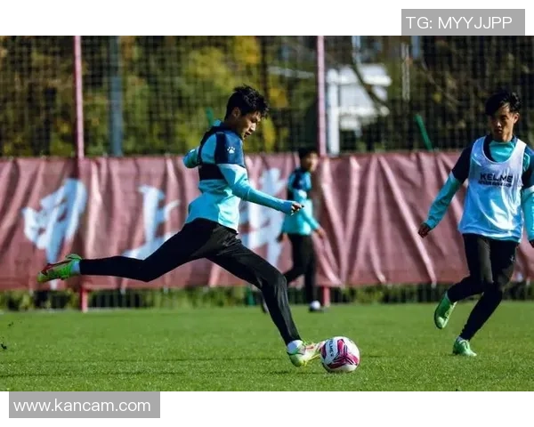 南京足球队在最新状态排行榜中荣登第十名展现出强劲实力与潜力