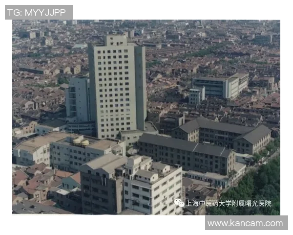 上海篮球队在联合会杯中的崛起与挑战历程全景回顾