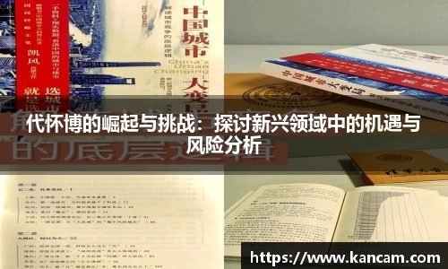 代怀博的崛起与挑战：探讨新兴领域中的机遇与风险分析